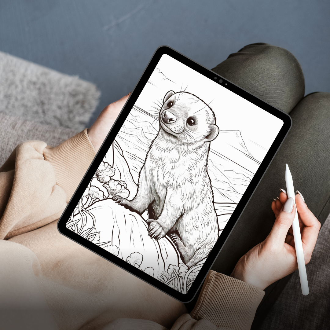 Coloriage éducatif sur les animaux d'Afrique (ebook)