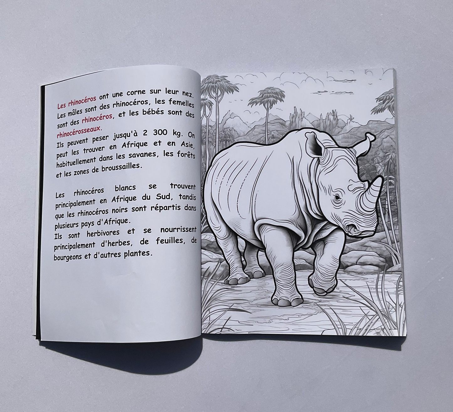 Educational coloring about African animals