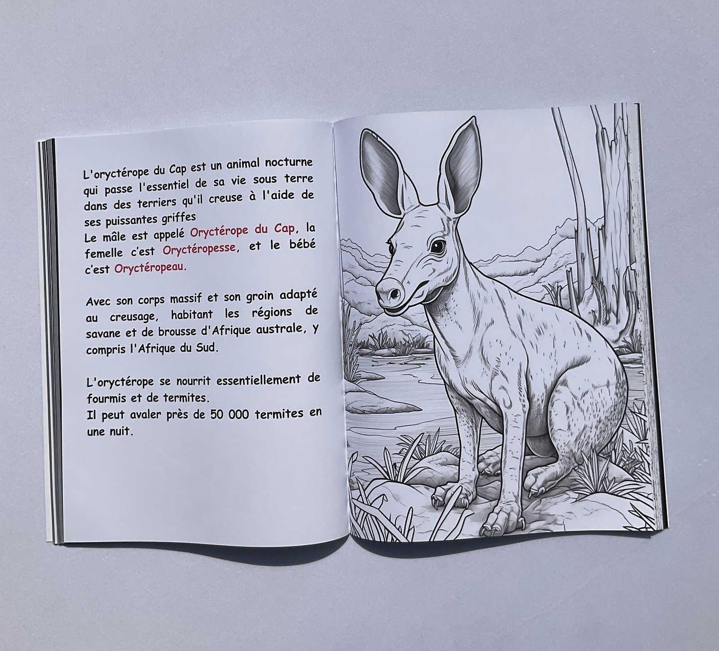 Educational coloring about African animals