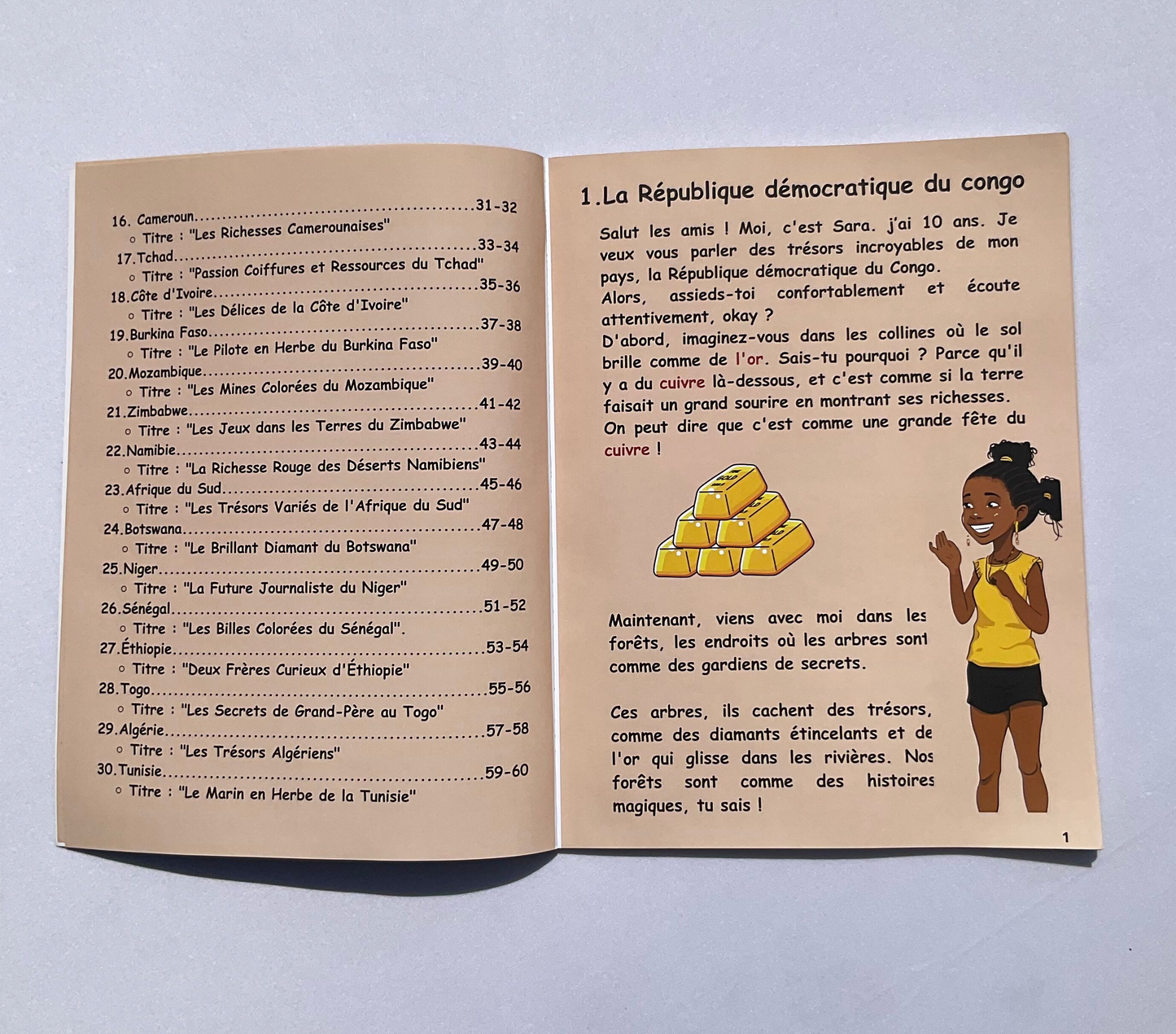 Viens découvrir les richesses de l'Afrique